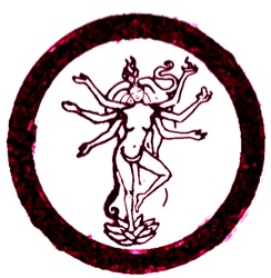 shakti logo